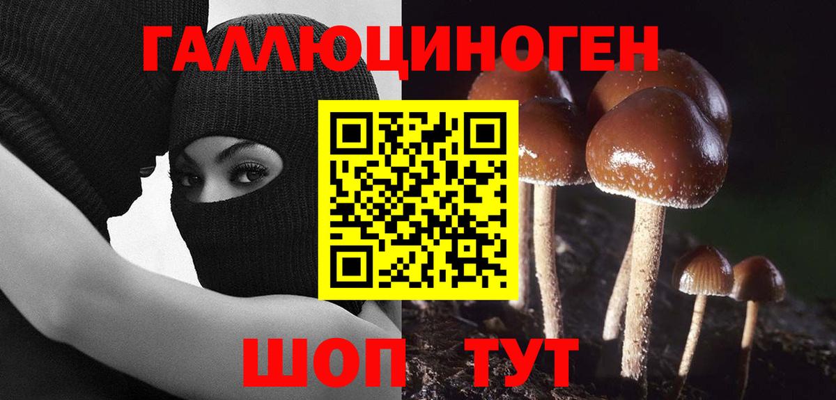Хабаровск  Вход с VPN  Меф МЯУ МЯУ   Конопля  NBOMe  Гашиш  ЭКСТАЗИ  ГАШИШ  МЕТАМФЕТАМИН  Альфа ПВП СОЛЬ кристаллы  ТГК 