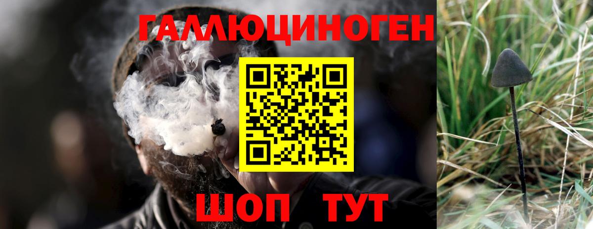 Хабаровск  Галлюциногенные грибы Cubensis  наркота  Вход с VPN  Галлюциногенные грибы Psilocybine cubensis 